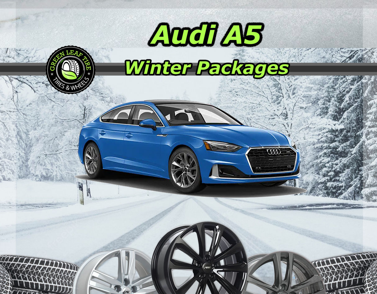 Audi A5 Winter Tire Package, 17" Alloy + 205/50R17 Antares Grip 20