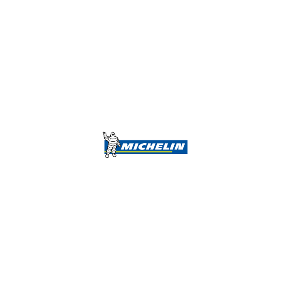 Michelin LATITUDE ALPIN (W) 255/50R19 107H XL