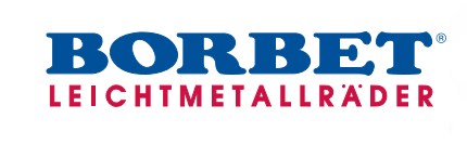 Borbet Type Y  Crystal Silver Paint